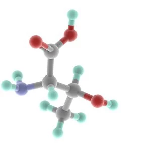 Threonine molecule