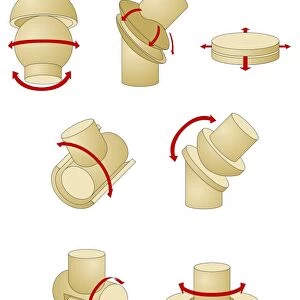 Types of joint, artwork