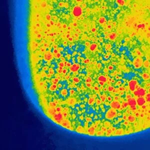 Urine in a toilet, thermogram C016 / 7563