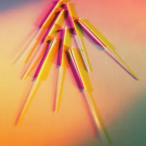 Acupuncture Needles Print Acupuncture Needles Print