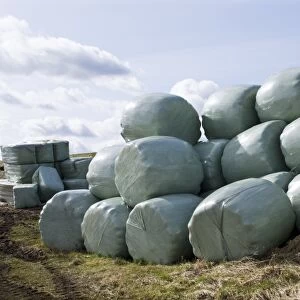 Wrapped hay bales