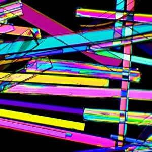Zeolite crystals, light micrograph