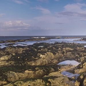 England, Tyne and Wear, Cullercoats. Rocky coastline and natural arch located on the south side of Cullercoats Bay found along the North
