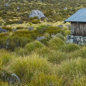 New Zealand, Canterbury, Mt Cook National Park. Stocking Stream Shelter