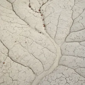 Erosion Patterns Print, Bisti Wilderness Drainage Erosion Patterns Print, Bisti Wilderness Drainage