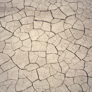 Modelli nelle crepe di fango in zona siccità Modelli nelle crepe di fango in zona siccità
