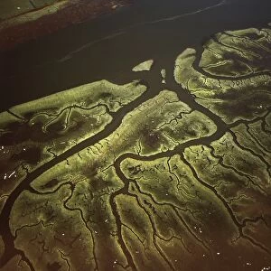 Aerial image of Salt Marsh on River Lune, Lancaster, Lancashire, England