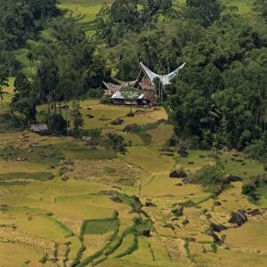 Aerial view over rice fields and terraces and traditional houses