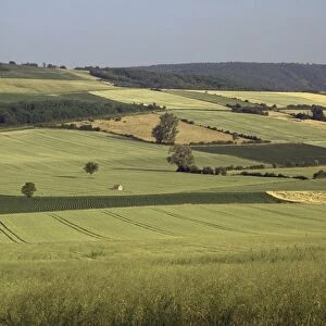 Agricultural landscape near Clermont Ferrand, Auvergne, France, Europe