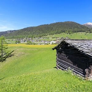 Alpine hut in the green meadows, Davos Wiesen, Canton of Graubunden, Prettigovia Davos Region