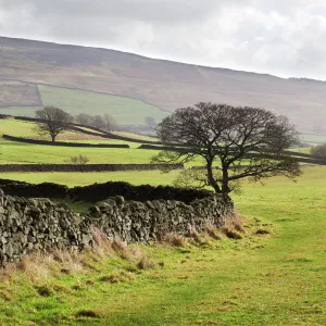 Beamsley Beacon from Storiths, North Yorkshire, Yorkshire, England, United Kingdom, Europe