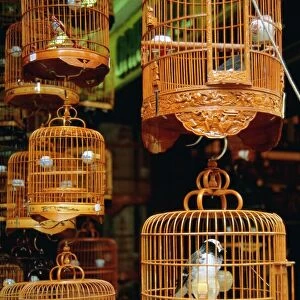 The Bird Market, Hong Lok Street, Mongkok, Kowloon, Hong Kong, China
