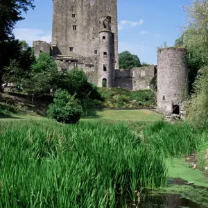 Blarney Castle Print, Ireland Blarney Castle Print, Ireland