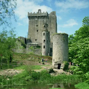 Popular Themes Premium Framed Print Collection: Blarney Castle