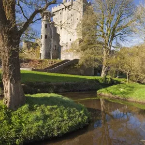 Springtime Blarney Castle Print, County Cork, Ireland Springtime Blarney Castle Print, County Cork, Ireland