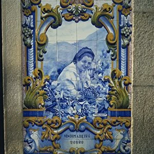 Blue azulejos tiles of the port vineyards in the railway