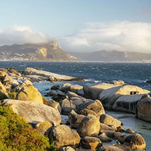 Boulders Beach, Cape Town, Western Cape, South Africa, Africa