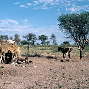 Bushmen, Kalahari, Botswana, Africa