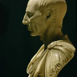 Julius Caesar Bust Print, Vatican Museum Julius Caesar Bust Print, Vatican Museum