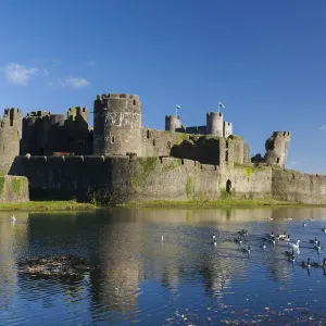 Caerphilly Castle Print Caerphilly Castle Print