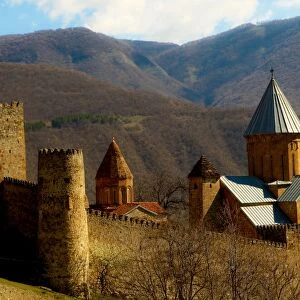 Castle in the countryside of Tbilisi, The Republic of Georgia, Central Asia, Asia