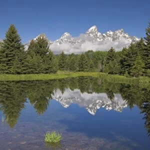 The Cathedral Group of Mount Teewinot, Mount Owen and Grand Teton reflected in the Beaver Pond