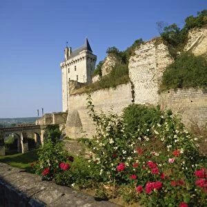 Chateau de Chinon, Indre-et-Loire, Loire Valley, France, Europe