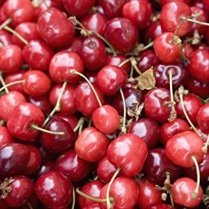 Cherries, market, Old Town, Prague, Czech Republic, Europe