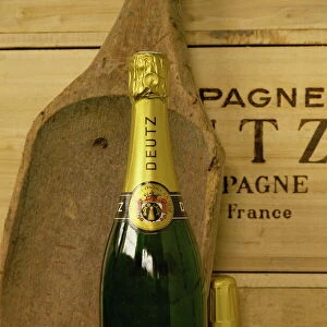 Close-up of a single bottle of Deutz champagne from Ay-en-Champagne, Ardennes