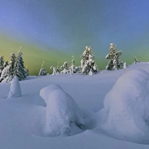 Colorful Northern Lights of the Aurora Borealis and starry sky on the snowy woods