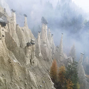 Colorful trees on rocks of the Earth Pyramids in autumn, Perca (Percha)
