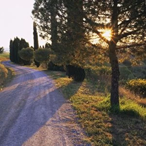 Country lane at sunrise