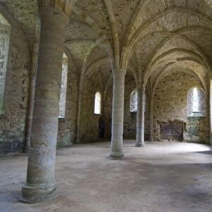Crypt, ruins of Battle Abbey, Battle, Sussex, England, United Kingdom, Europe