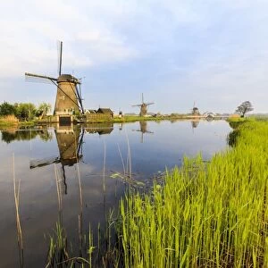 Dawn on windmills reflected in the canal surrounded by green meadows, Kinderdijk