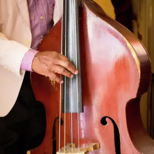 Detail of double bass being played by a local musician in Bar El Floridita, Havana, Cuba, West Indies, Central America