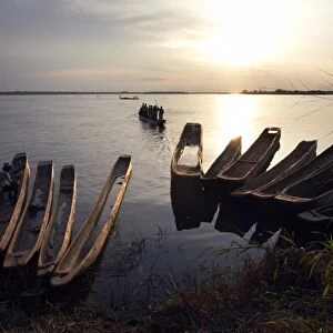 Dugout canoes (pirogues) on the Congo River, Yangambi, Democratic Republic of Congo