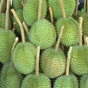 Durian fruit piled up for sale in Bangkok