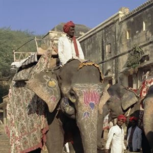 Elephant transport for tourists