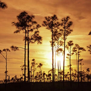 USA Heritage Sites Everglades National Park