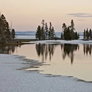 Evergreens along Yellowstone Lake in the early spring at sunset, Yellowstone National Park, UNESCO World Heritage Site, Wyoming, United States of America, North America