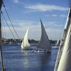 Feluccas on the River Nile, Aswan, Upper Egypt, North Africa, Africa