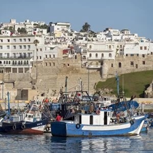 Fishing boats in port, Tangier, Morocco, North Africa, Africa