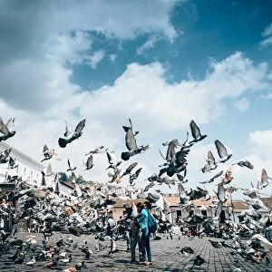 A flock of pigeons fly in front of San Francisco Square in the heart of Quito, Ecuador