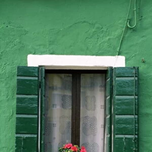 Flower pot on window sill