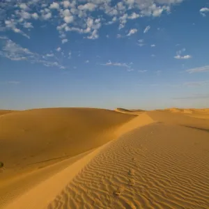 Footsteps in sand dunes at sunset, near Chinguetti, Mauritania, Africa