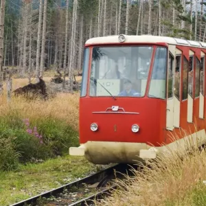 Funicular Railway Print, High Tatras Mountains, Slovakia Funicular Railway Print, High Tatras Mountains, Slovakia