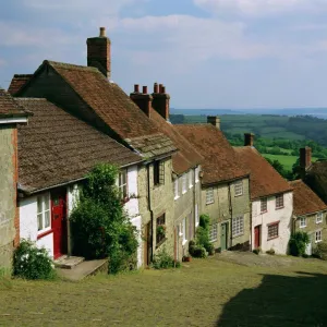 Dorset Collection: Hill View