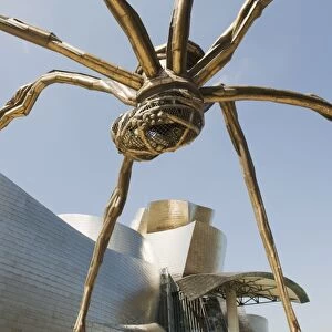 The Guggenheim, designed by architect Frank Gehry, and giant spider sculpture by Louise Bourgeois