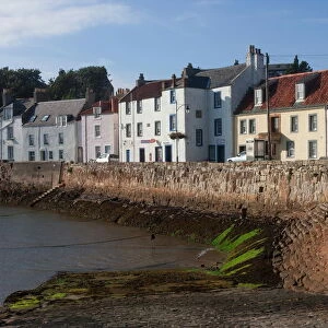 Harbour wall, low tide and pastel coloured cottages, St. Monan, East Coast, Fife, Scotland, United Kingdom, Europe