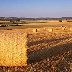 Hay bales at sunset, Swabian Alps, Baden-Wurttemberg, Germany, Europe